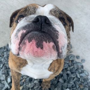 Meet your Posher, Stacey